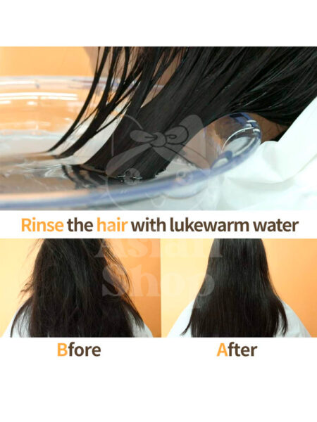 ELIZAVECCA CER 100 Collagen Coating Hair Muscle Shampoo modo de uso textura aplicación cabello