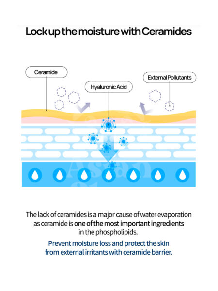 JUMISO Waterfull Hyaluronic Acid Toner modo de uso textura aplicación