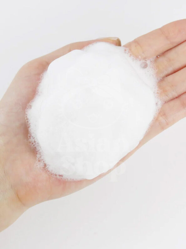 ROUND LAB 1025 Dokdo Cleanser