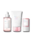 SKIN1004 Madagascar Centella Poremizing Perfect Pore Set (Clay Stick + Ampoule + Cream)